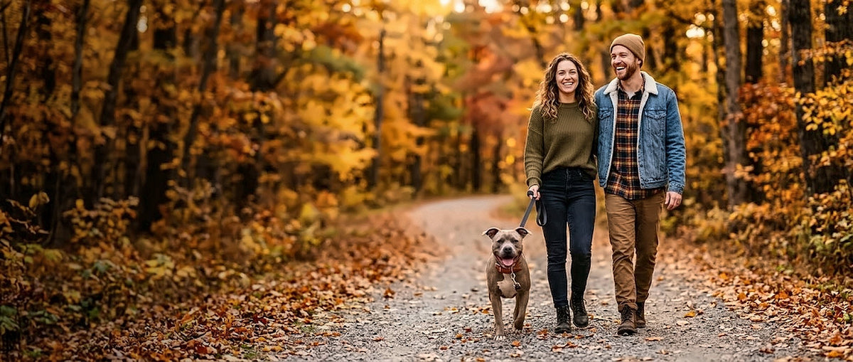 Couple walking their pittie down an autumn forest trail